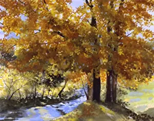 Over Hanging Prints: Maple Fall
