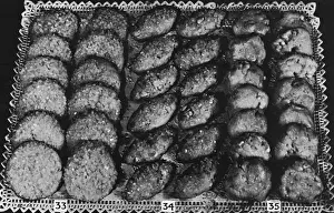 Pastry Prints: Maple and Malt Tea Breads