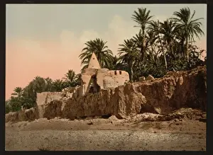 Biskra Prints: Marabut near Biskra, Algeria