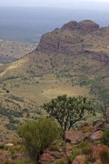 Images Dated 18th November 2011: Marakele National Park