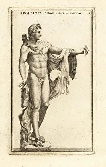 Greek God Prints: Marble statue of Apollo Belvedere