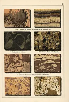 Gotthilfheinrichvonschubert Prints: Marble varieties