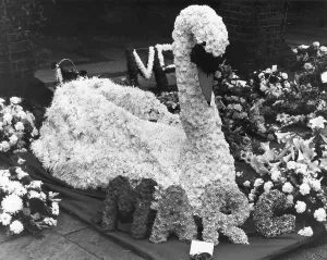 Images Dated 22nd June 2018: MARC BOLAN'S FUNERAL
