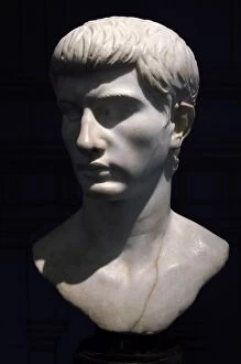 Images Dated 1st April 2009: Marcello. Bust. Marble. 1st century B.C
