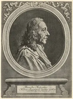 Marcello Prints: Marcello Malpighi