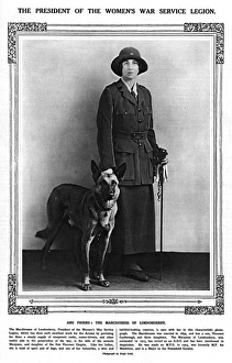 Sporting Aristocrat