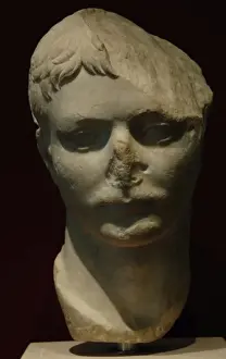 Agrippa Prints: Marcus Vipsanius Agrippa Postumus (12 B. C. -14 A. D. )