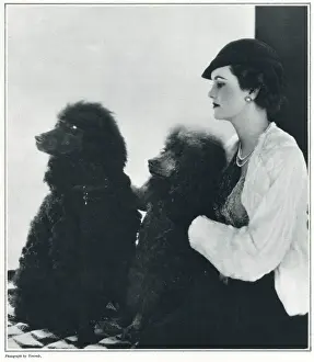 Whigham Prints: Margaret Whigham with poodles Gabi & Suki by Madame Yevonde