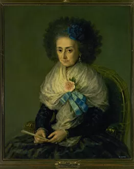 Antonia Gallery: Maria Antonia Gonzaga Caracciolo by Francisco de Goya