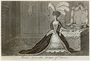 Antoinette Gallery: Marie Antoinette Boudoir