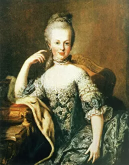 Ornate Gallery: Marie Antoinette Meytens
