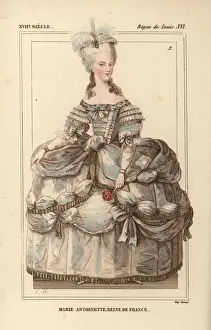 Bibliophile Prints: Marie Antoinette, Reine de France, wife to King Louis XVI