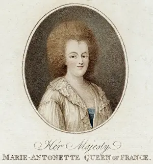 Marie Antoinette / Violet