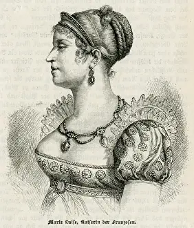 Marie-Louise (Profile)