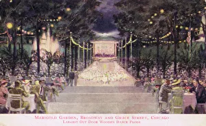 The Marigold Rooms in the Bismark Gardens, Chicago