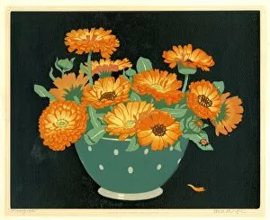 Orange Gallery: Marigolds by Hall Thorpe
