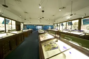Marine Invertebrates