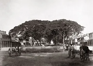 Marine Square, Trinidad, West Indies, c. 1870 s