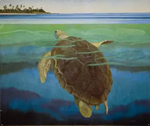 Weber Prints: Marine turtle
