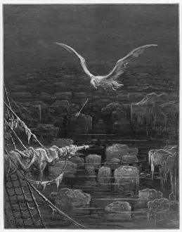 Mariner, Albatross Shot