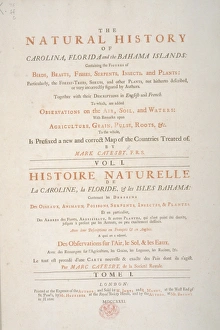 Mark Catesby Collection: Mark Catesbys Natural History... Title Page