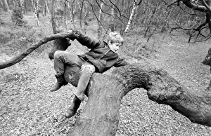 Mark Lester, child star
