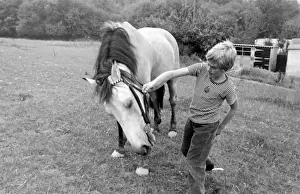 Mark Lester, child star