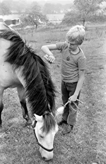 Mark Lester, child star