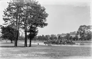 Greenery Prints: Markeaton Park
