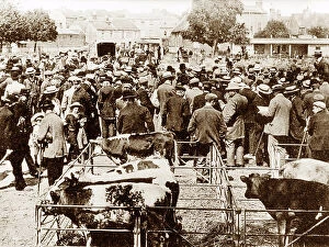 Chichester Collection: Market, Chichester early 1900's