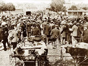 Chichester Prints: Market, Chichester early 1900's