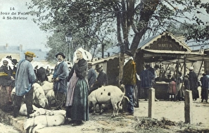 Live Stock Collection: Market day at St Brieuc, France