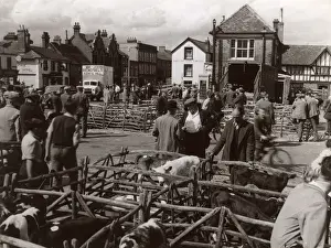 MARKET DAY IN THAME