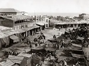 Jaffa Prints: Market at Jaffa, Palestine (Israel) circa 1880s (Bonfils stu