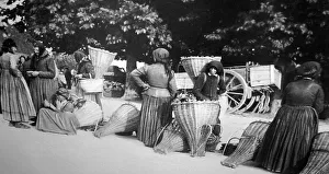 Maggiore Prints: Market, Locarno, Lake Maggiore, Switzerland