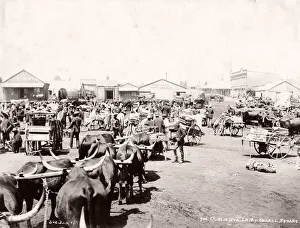 Market, Marshall Square, Johannesburg, South Africa