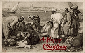 Images Dated 23rd January 2012: Market on the Nile, Cairo, Egypt
