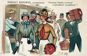 Arriving Collection: Market Reports Series - Country Ducks arriving