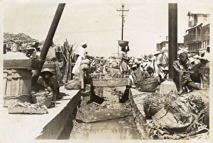 Market scene, Bridgetown, Barbados, West Indies