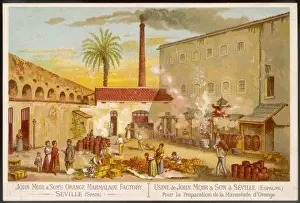 Marmalade Factory