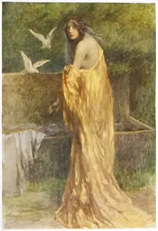 Marra & Golden Dress
