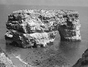 Geology Collection: Marsden Rock