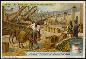 Access Prints: Marseille Trade Centre