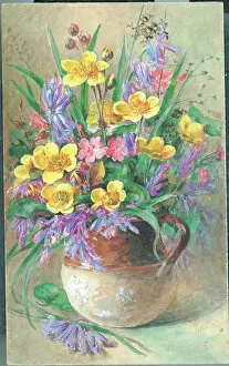 Arrangement Collection: Marsh Marigold, Wild Hyacinth & Rose Campiore