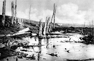 Images Dated 21st December 2004: Marshland on the Western Front; First World War, 1916