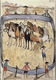 MART͎EZ COMPAѓN Y BUJANDA, Baltasar Jaime (1735-1797)