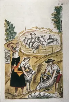 MART͎EZ COMPAѓN Y BUJANDA, Baltasar Jaime (1735-1797)