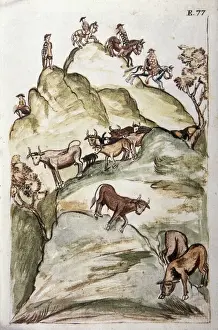 MART͎EZ COMPAѓN Y BUJANDA, Baltasar Jaime (1735-1797)