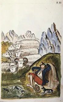 MART͎EZ COMPAѓN Y BUJANDA, Baltasar Jaime (1735-1797)