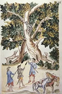 MART͎EZ COMPAѓN Y BUJANDA, Baltasar Jaime (1735-1797)